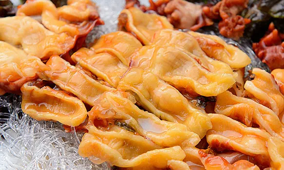 sea squirt